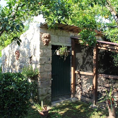 Residenza Caserta Sud - Appartamento Con Giardino Kültér fotó