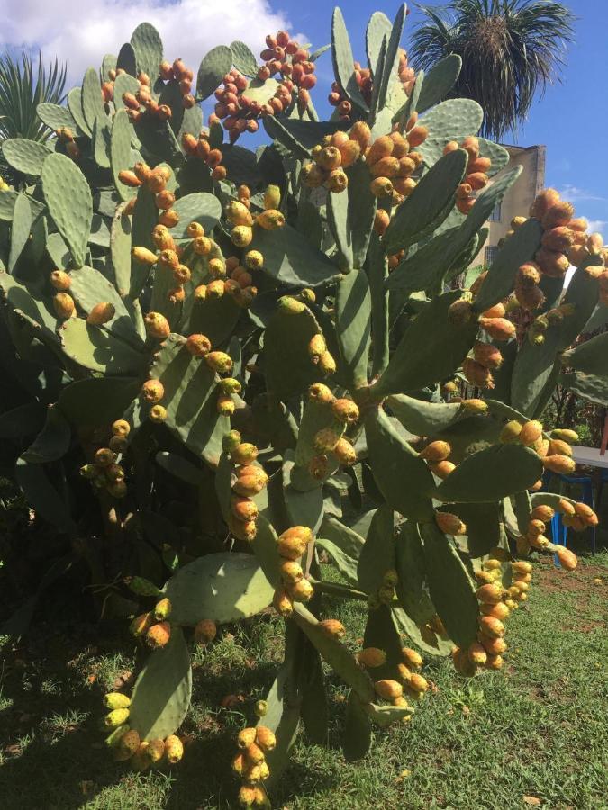 Residenza Caserta Sud - Appartamento Con Giardino Kültér fotó
