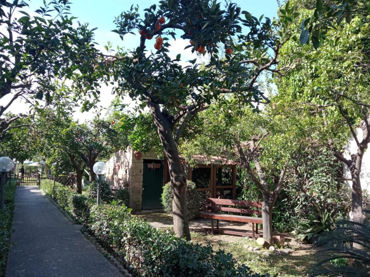Residenza Caserta Sud - Appartamento Con Giardino Kültér fotó