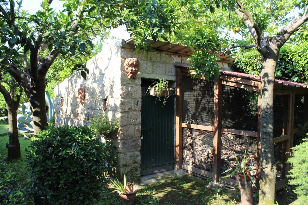 Residenza Caserta Sud - Appartamento Con Giardino Kültér fotó