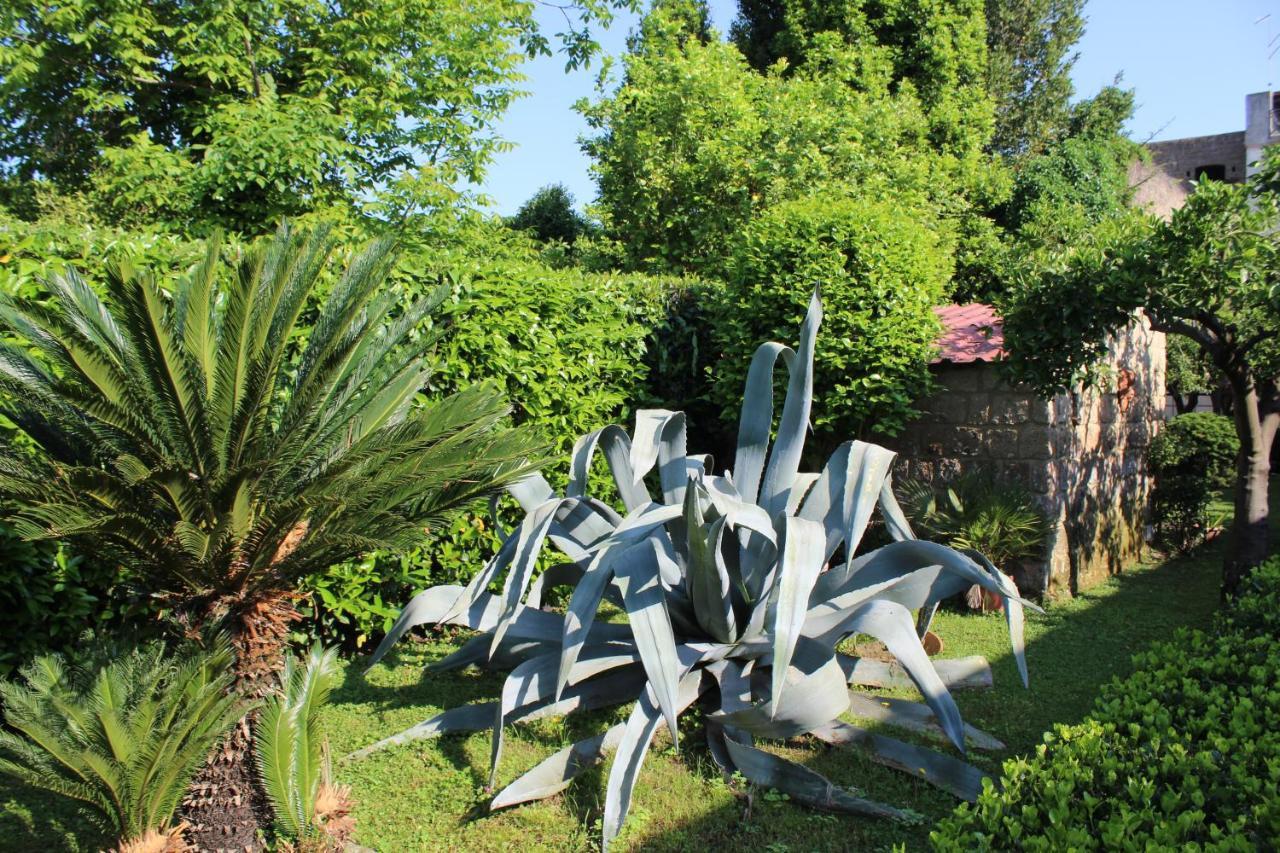 Residenza Caserta Sud - Appartamento Con Giardino Kültér fotó