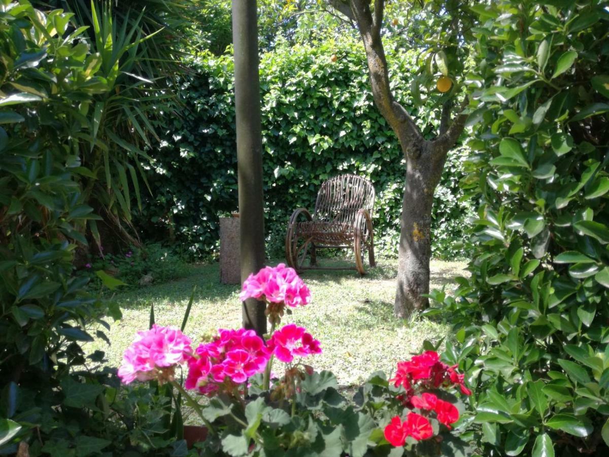 Residenza Caserta Sud - Appartamento Con Giardino Kültér fotó